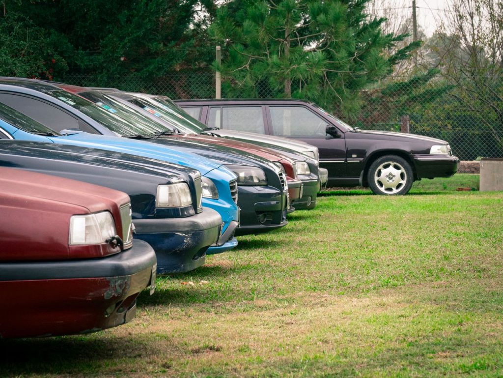 Several cars parked in a grassy field, showcasing a rural setting and diverse vehicle selection.