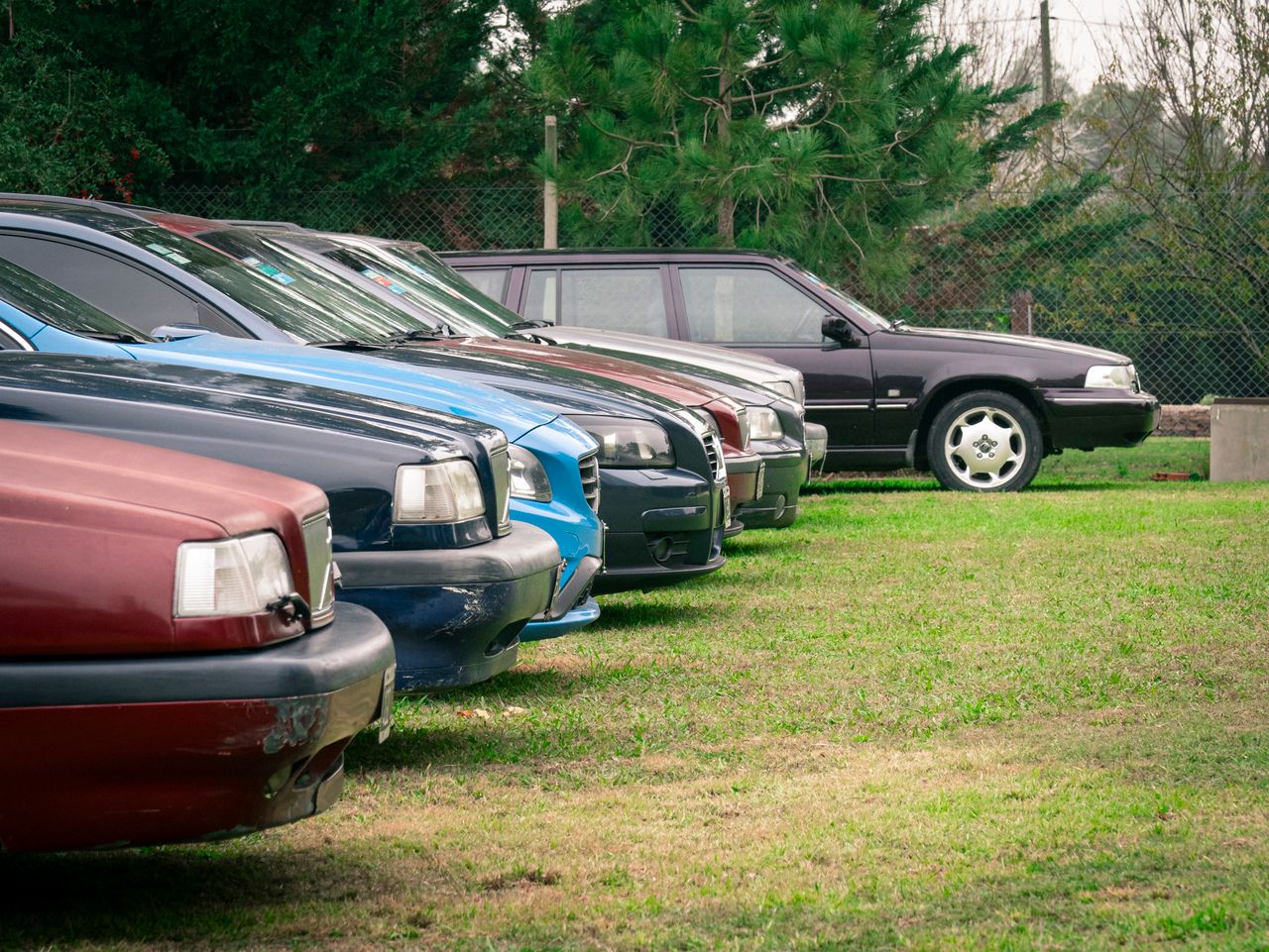The Art of Drawing Readers In: Your attractive post title goes here Several cars parked in a grassy field, showcasing a rural setting and diverse vehicle selection.